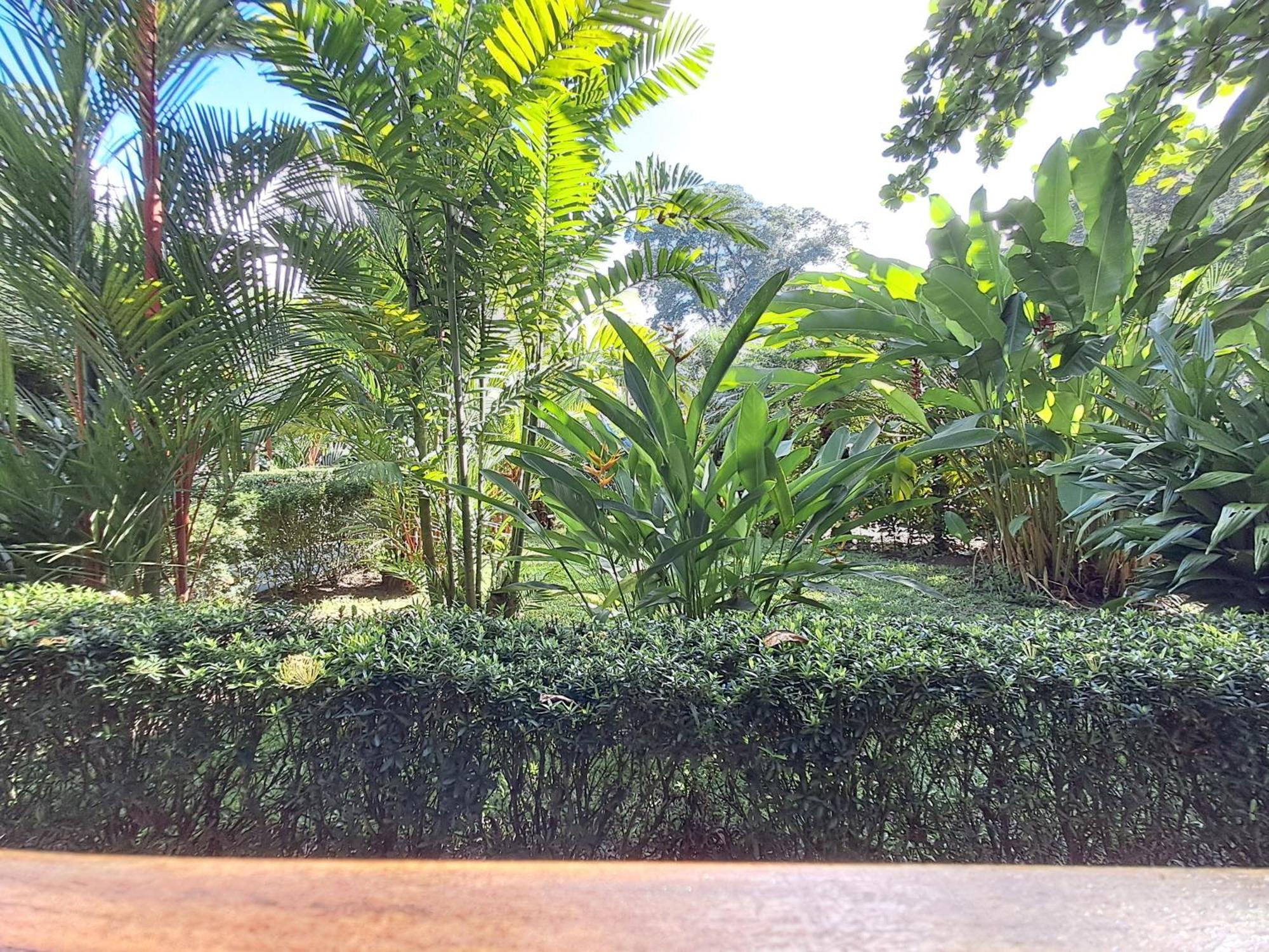 Villa New Caribe Point Cahuita Exterior foto